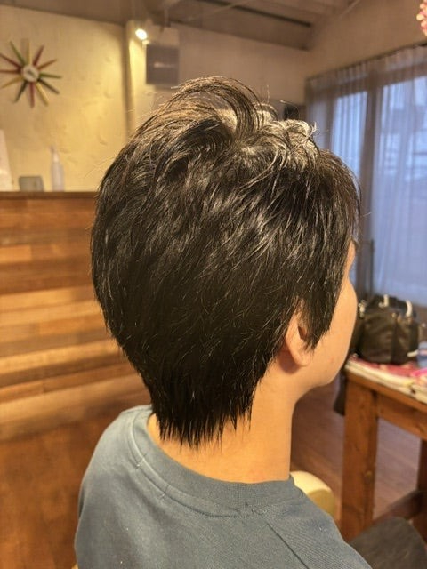 v2eeg3si.png
