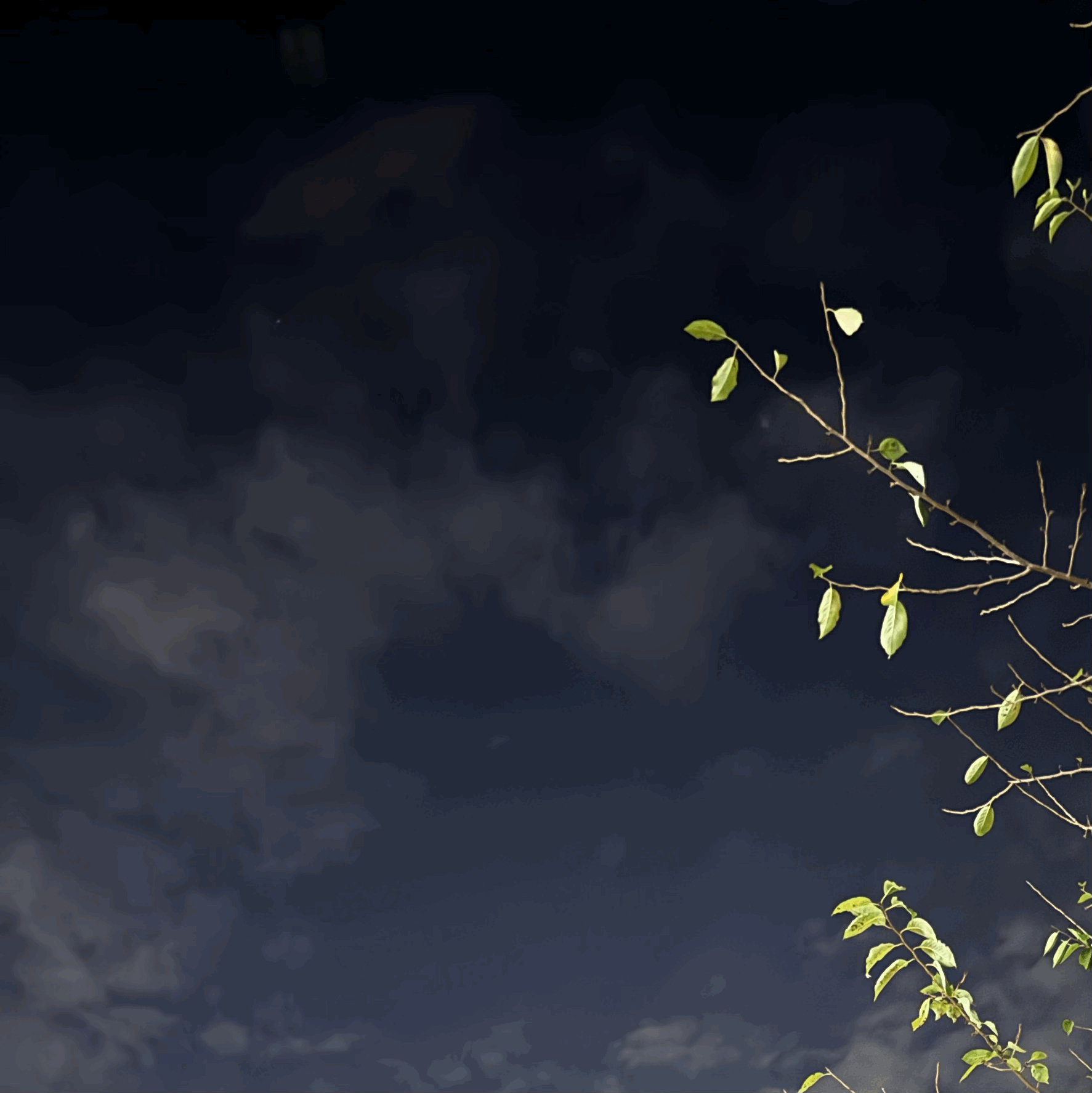 tempImageXhj2Ed.gif