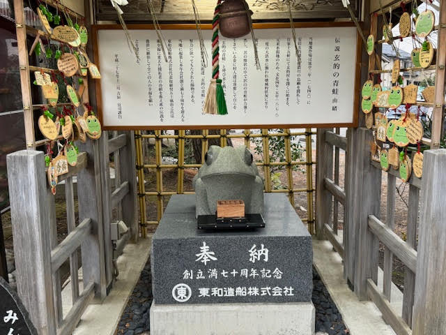 青蛙.jpg
