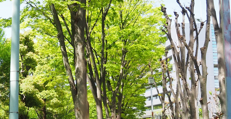 スクリーンショット 2026-06-15 5.22.38.png