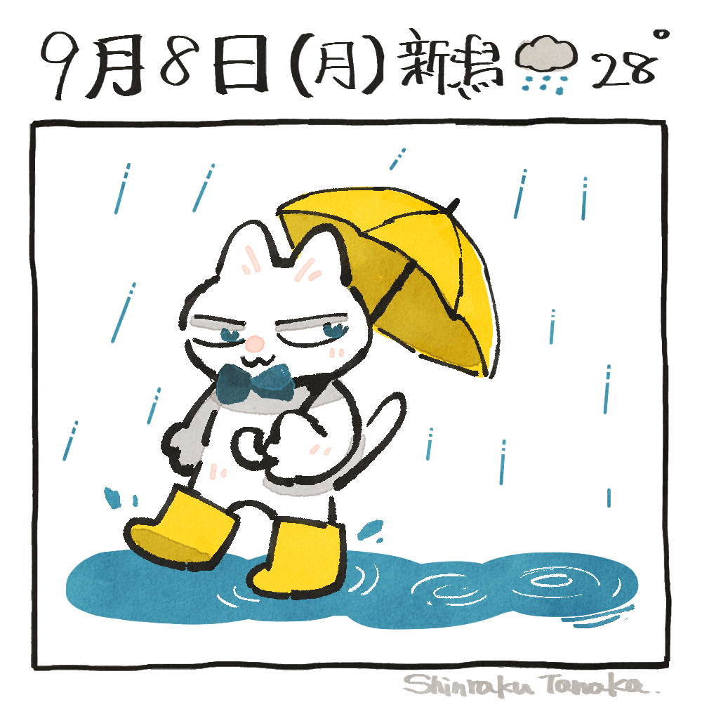 sns 9-8.jpg