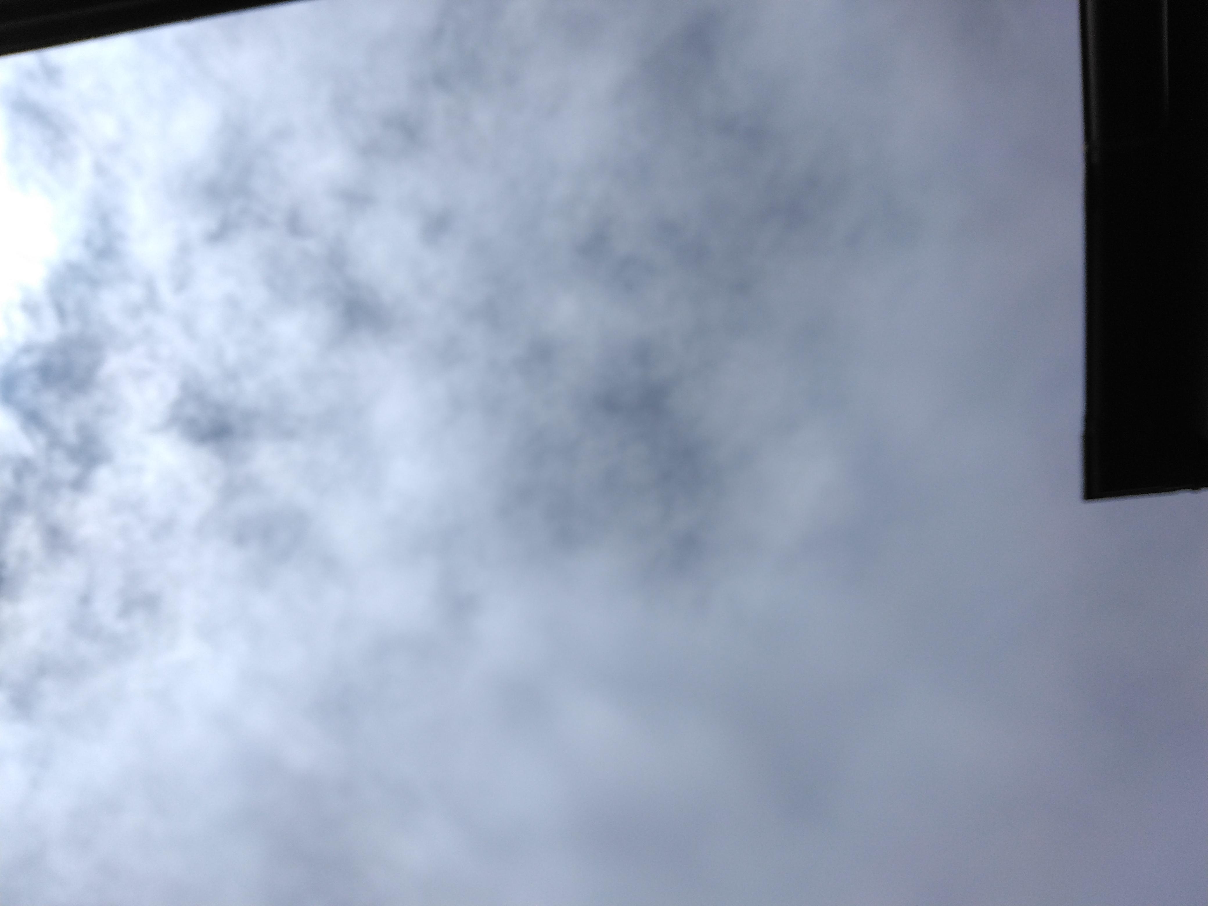 IMG_20250601_083339.jpg