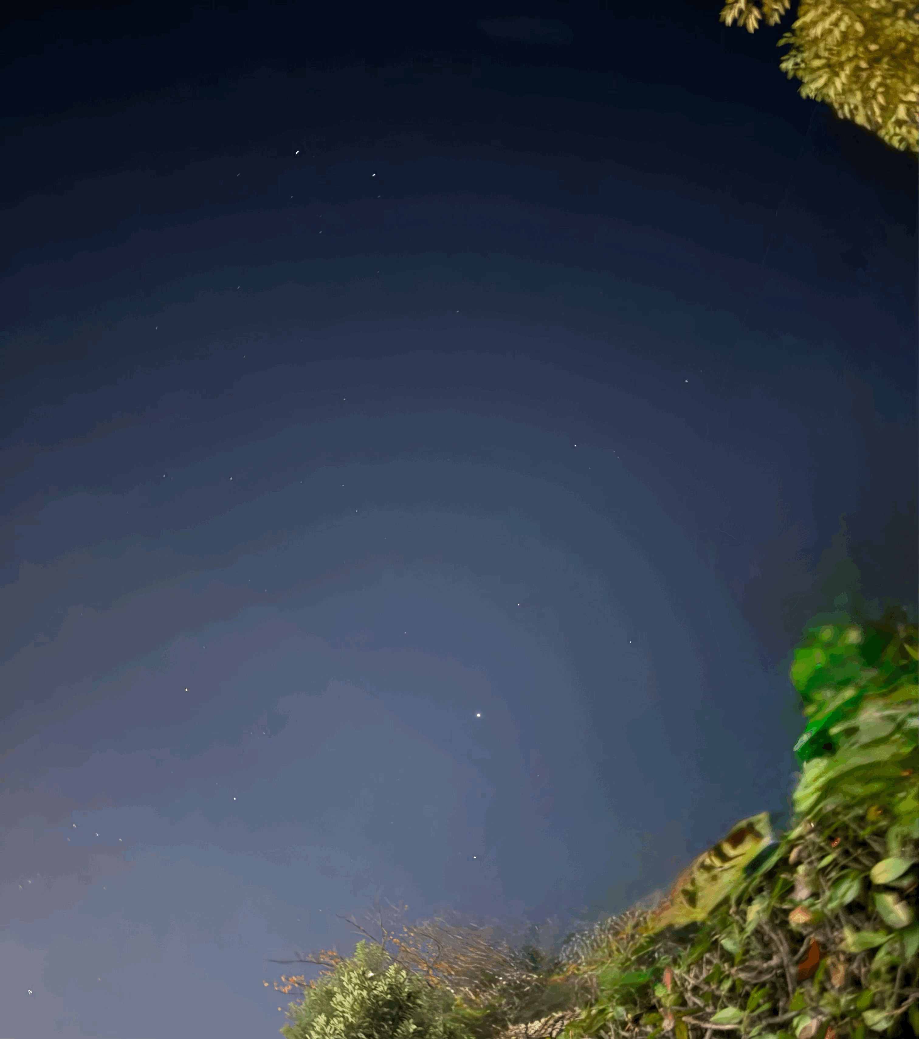 tempImage3UgWwg.gif