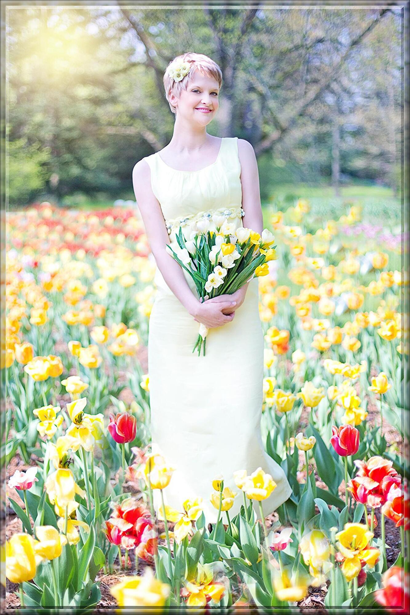 field-of-tulips-635266.jpg