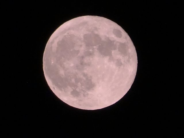 1227266_s.jpg