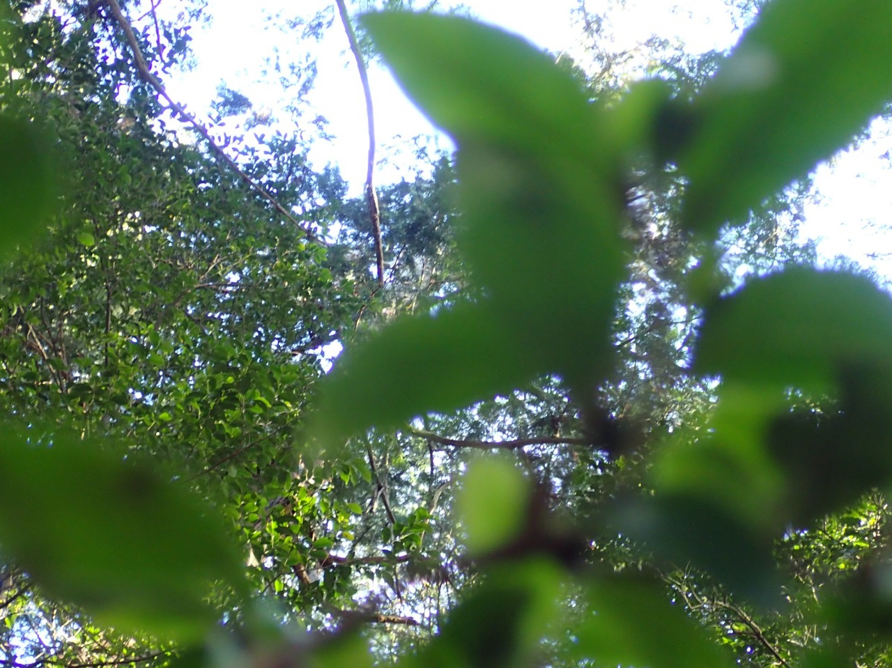 PC310168.JPG
