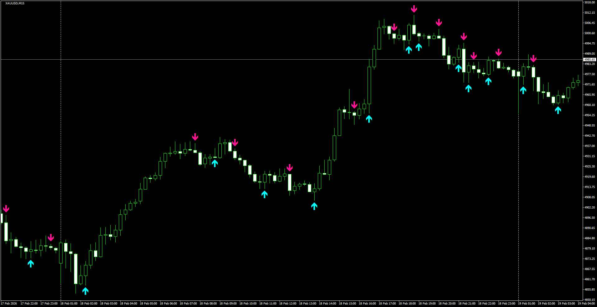 XAUUSD(M15)_2026.02.19_204152.png