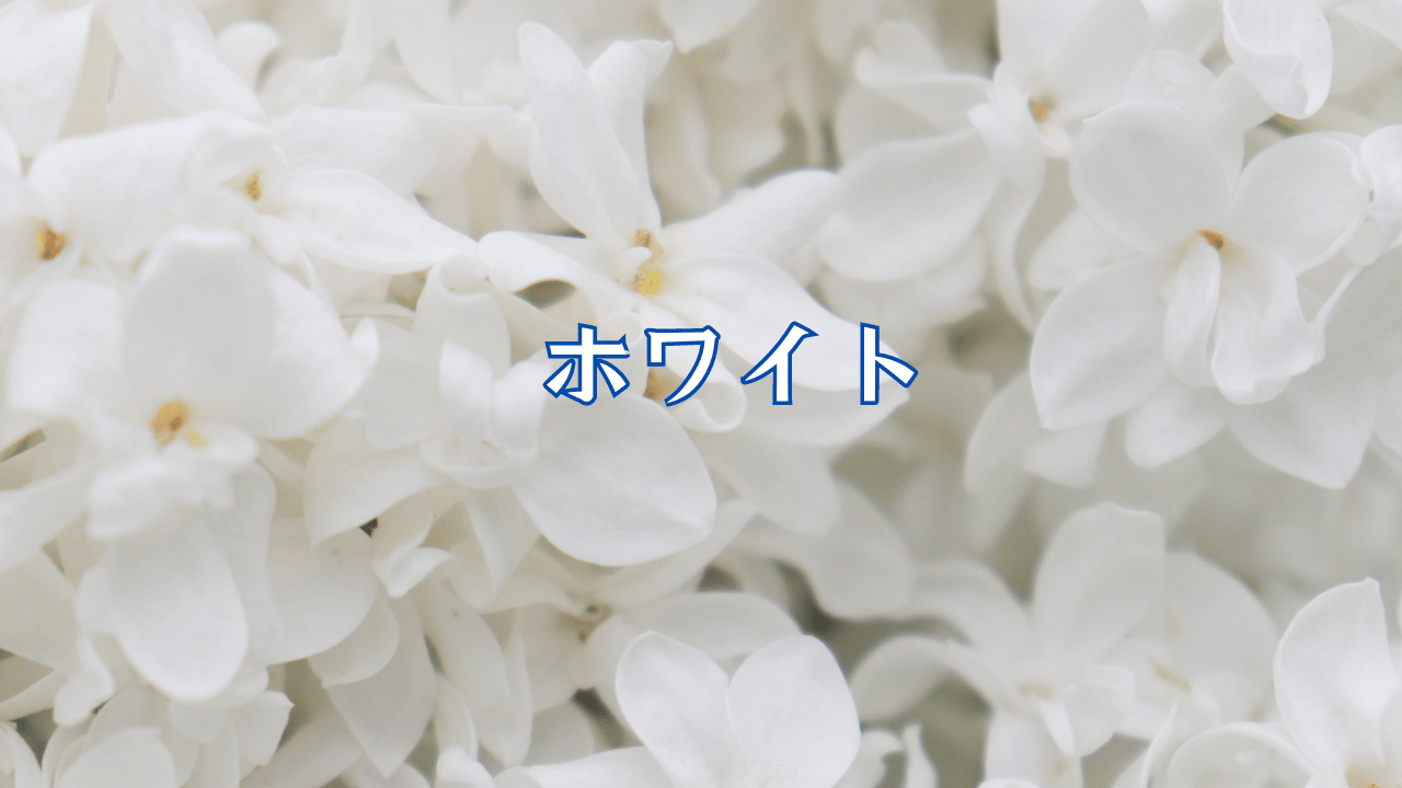 見出しを追加 (61).png