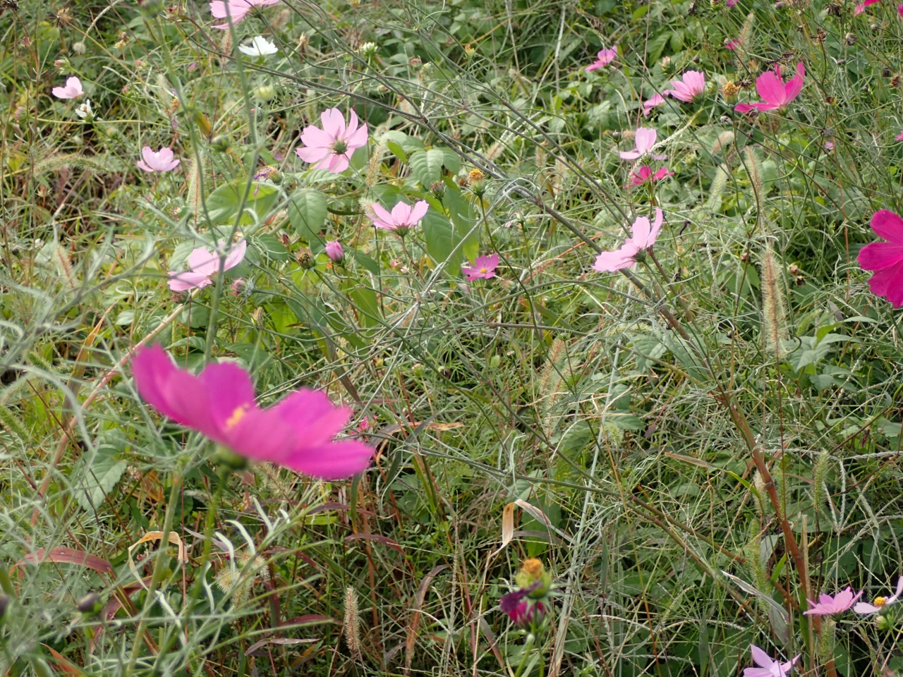 PB080081.JPG