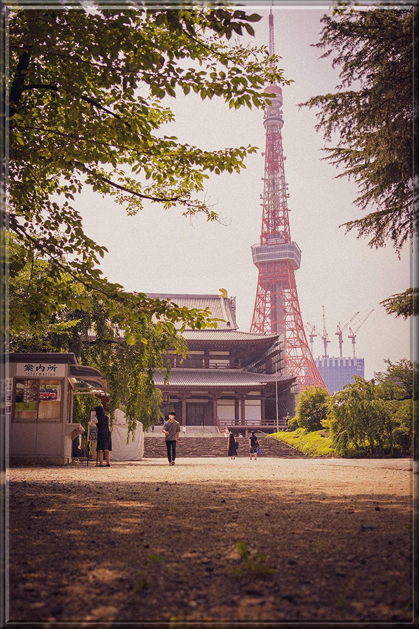 s-tsuchiya-q-bQB5R0ieI-unsplash.jpg