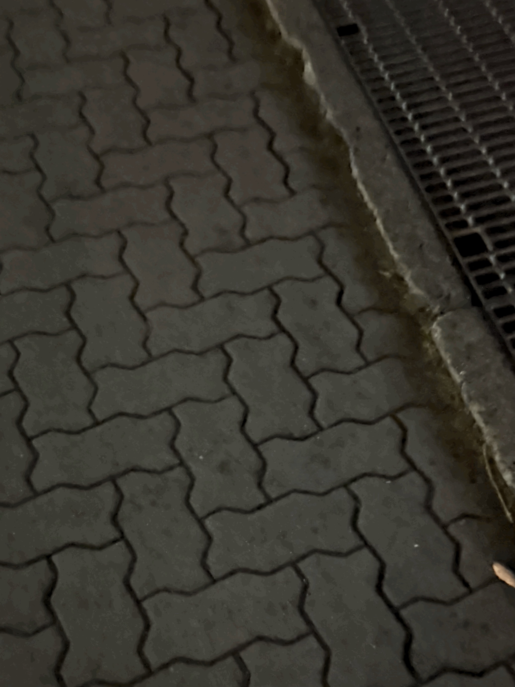 tempImage0x6Job.gif