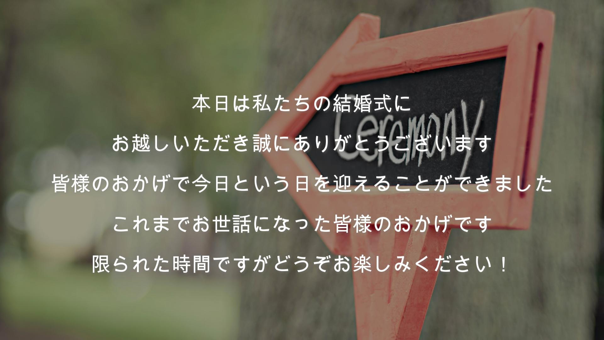 Snapshot_12.JPG