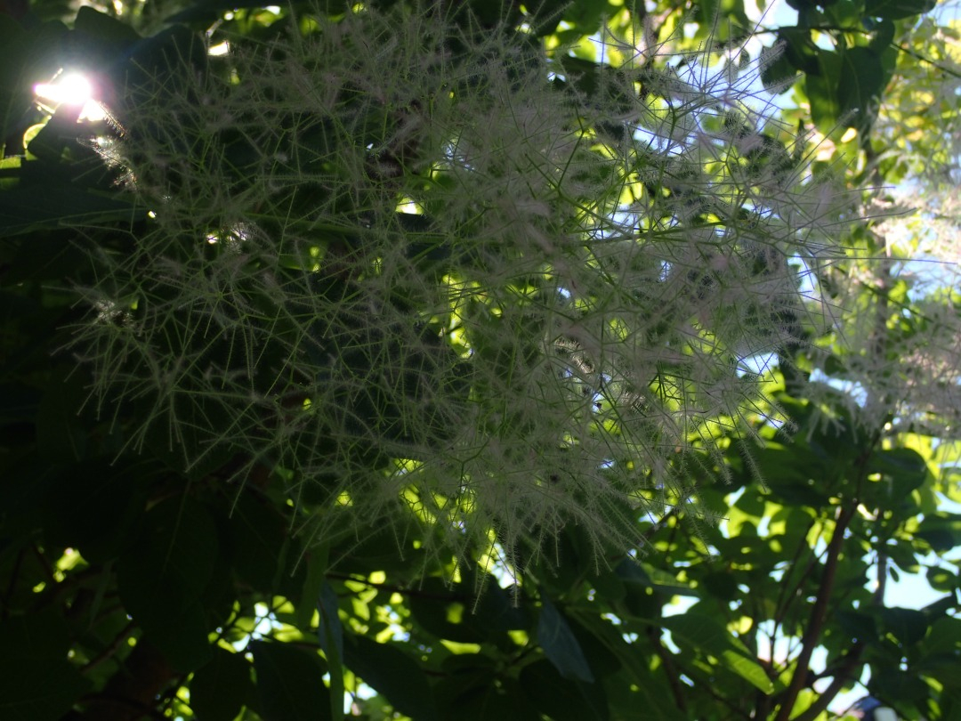 P5310057.JPG