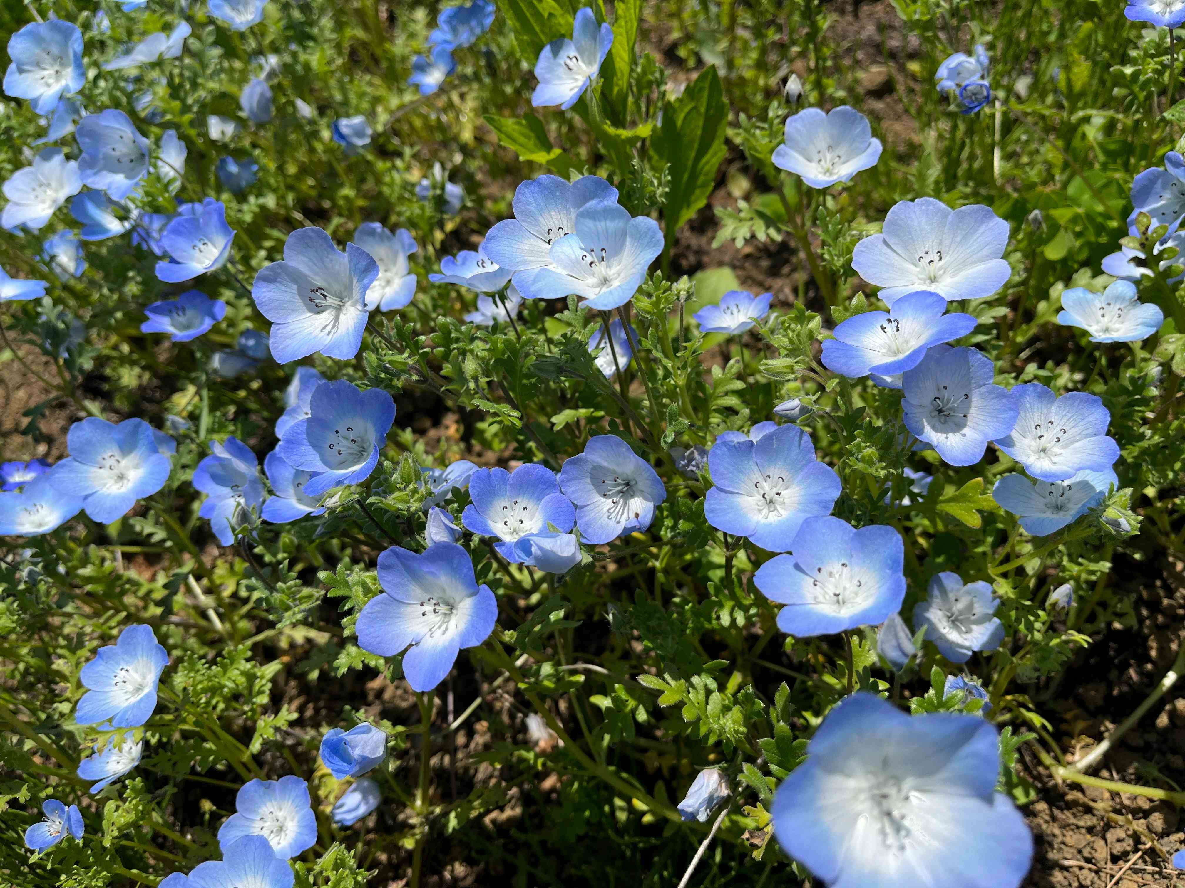 image_50746369.JPG