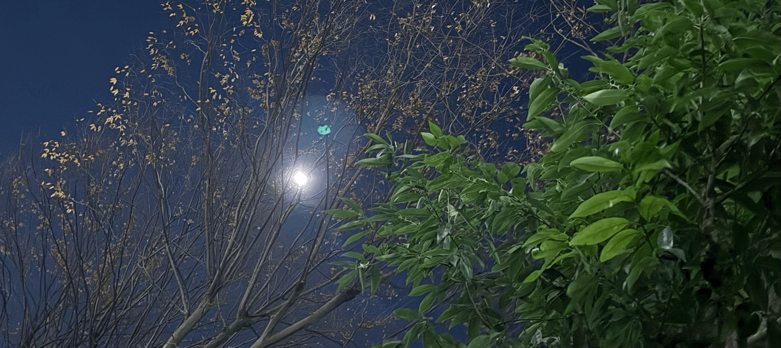 tempImageXMIJsZ.gif