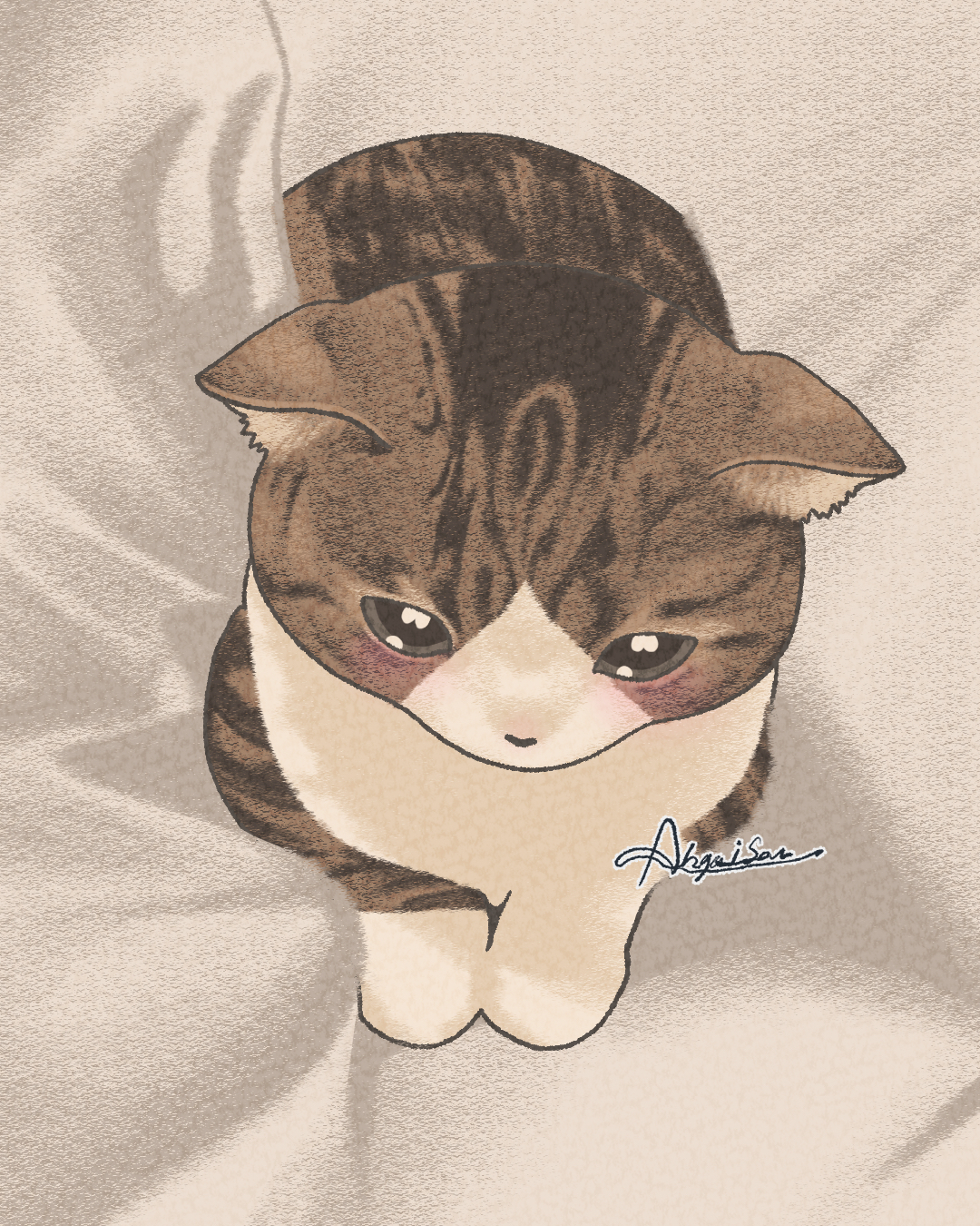 猫7−2.jpg