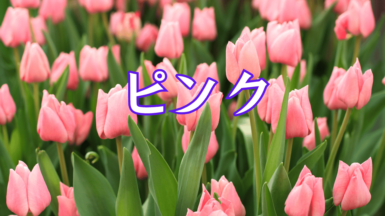 見出しを追加 (29).png
