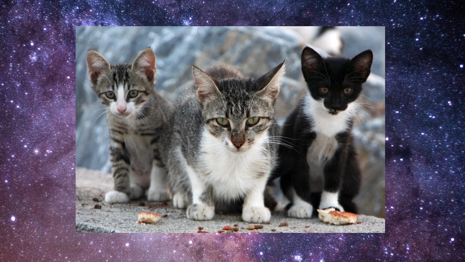 名称未設定のデザイン (39).png