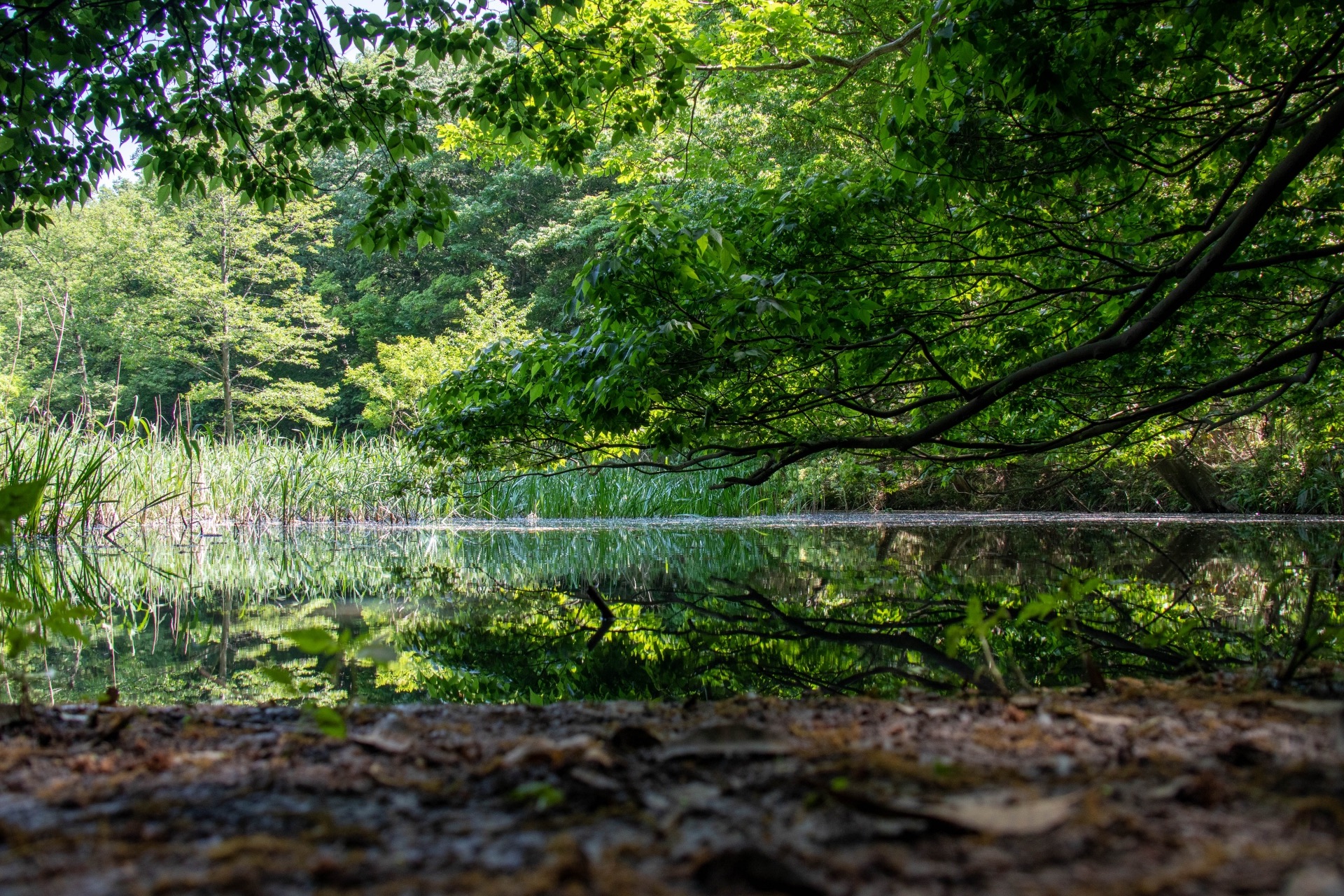 D46163F9-43A0-462E-A5FD-0074B60B7427.jpeg