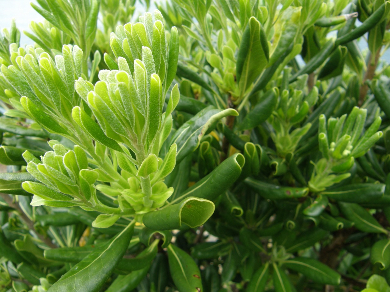 P4150156.JPG