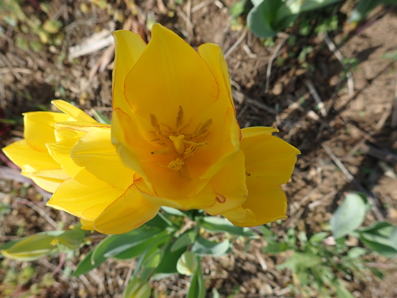 P4110044.JPG