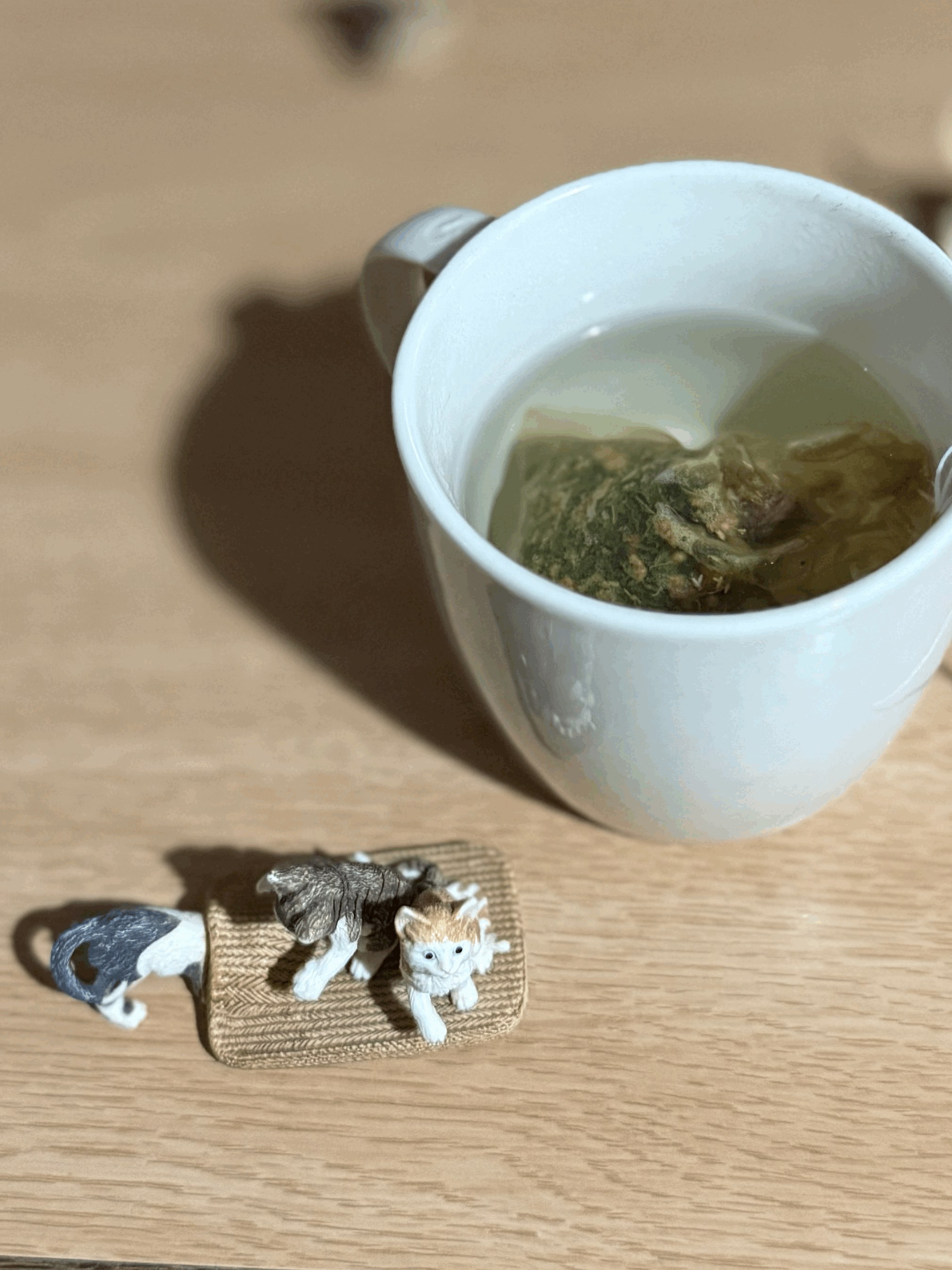 tempImagepu17dl.gif