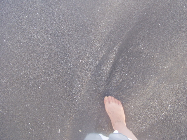 P1010052.JPG