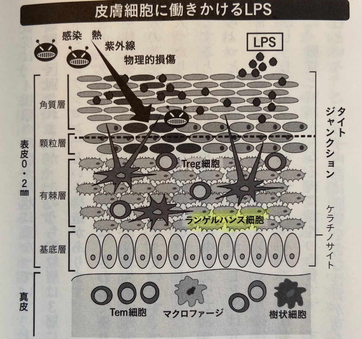 無題.png
