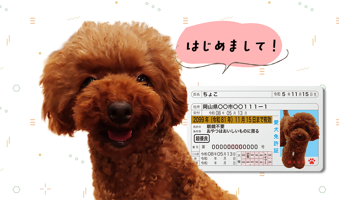 ブログ画像03.png
