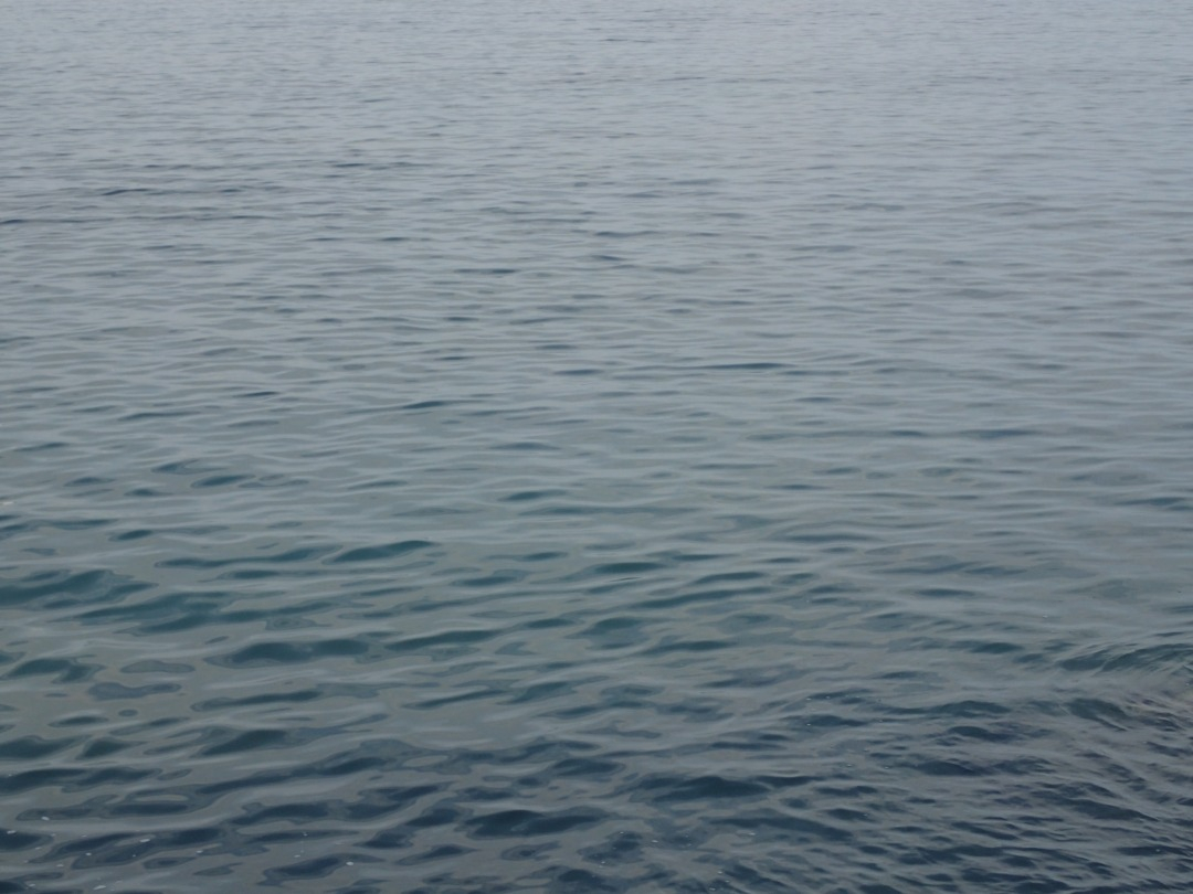 P8110650.JPG