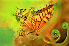 sketch-1669591757765 (10).png
