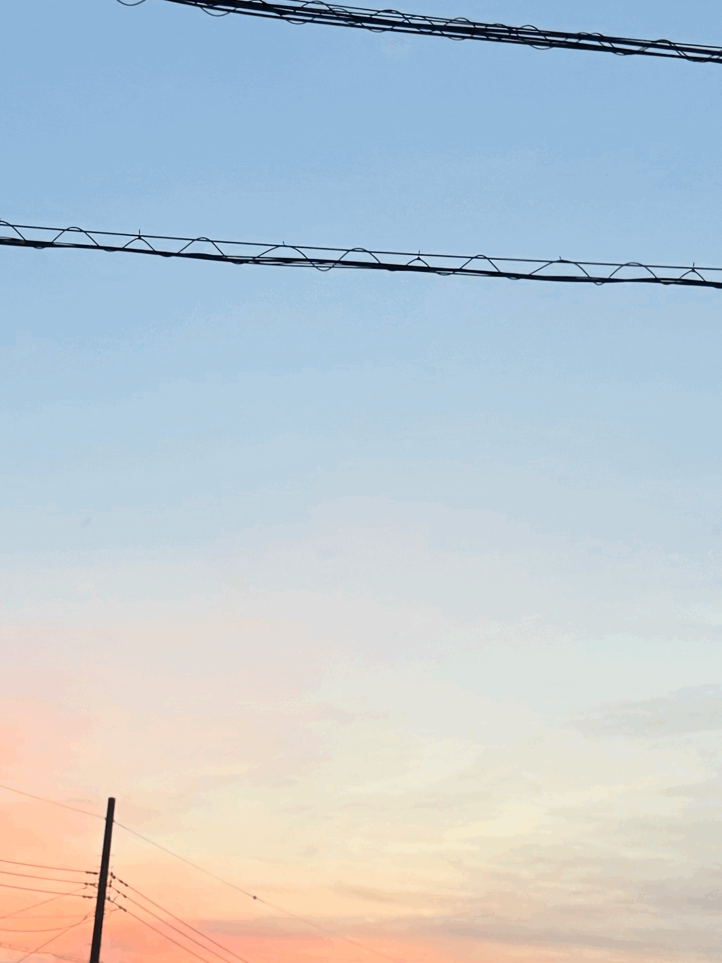 tempImageKXyVQh.gif