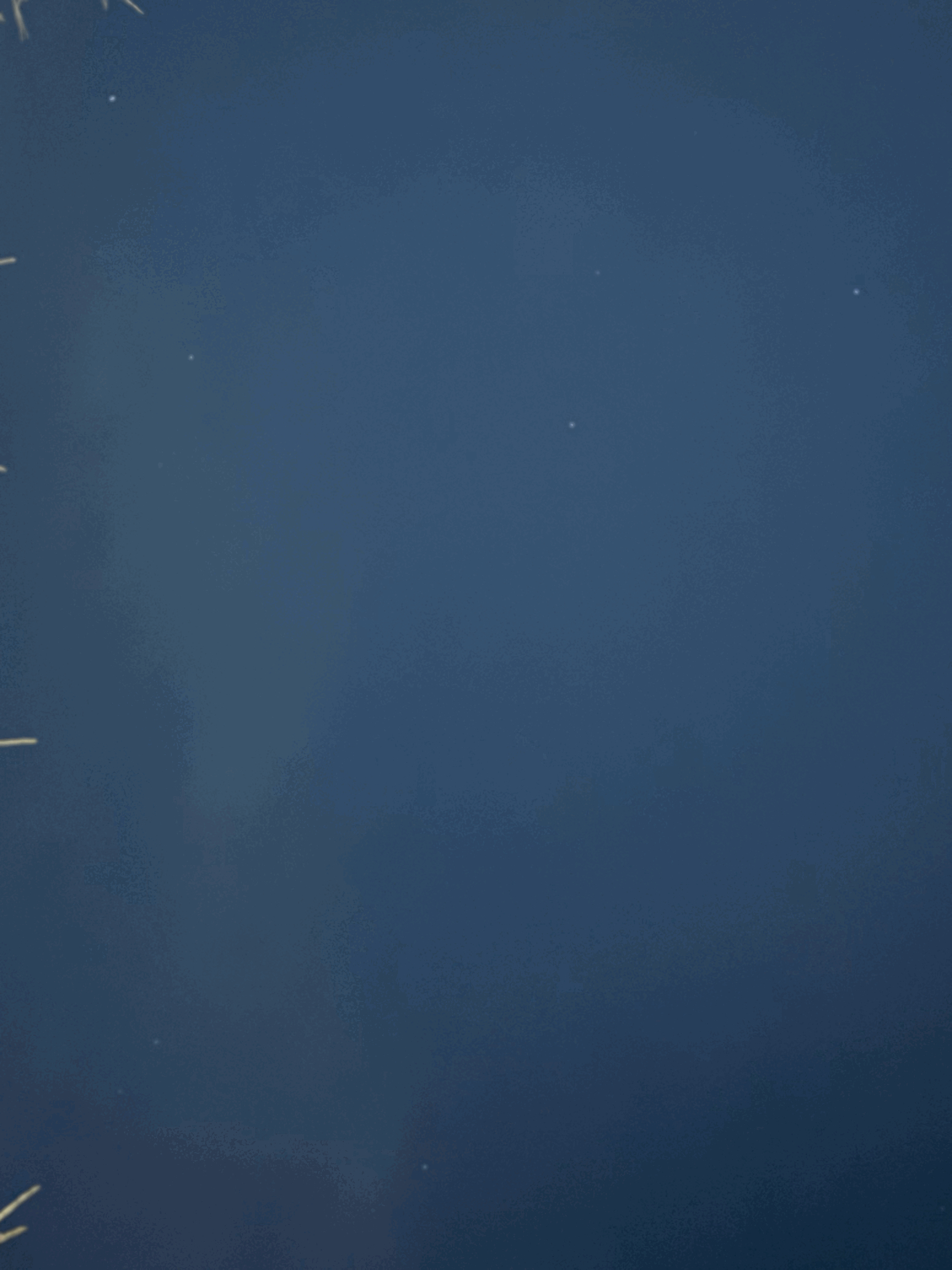 tempImageBINFi3.gif