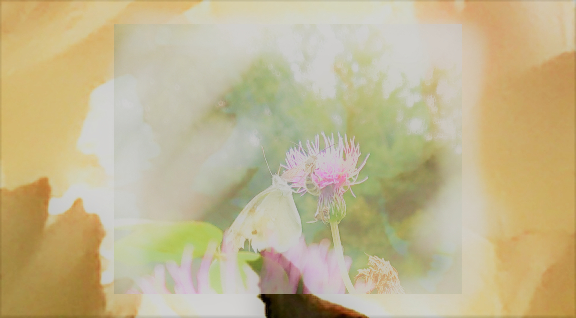 sketch-1688195641164 (3).png