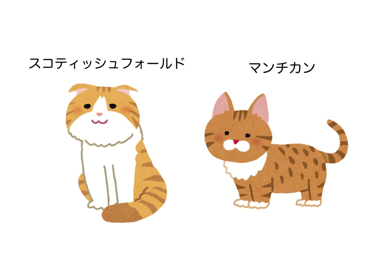 E0BAC2AB-A422-4EE8-85F6-4F7188844D65.png