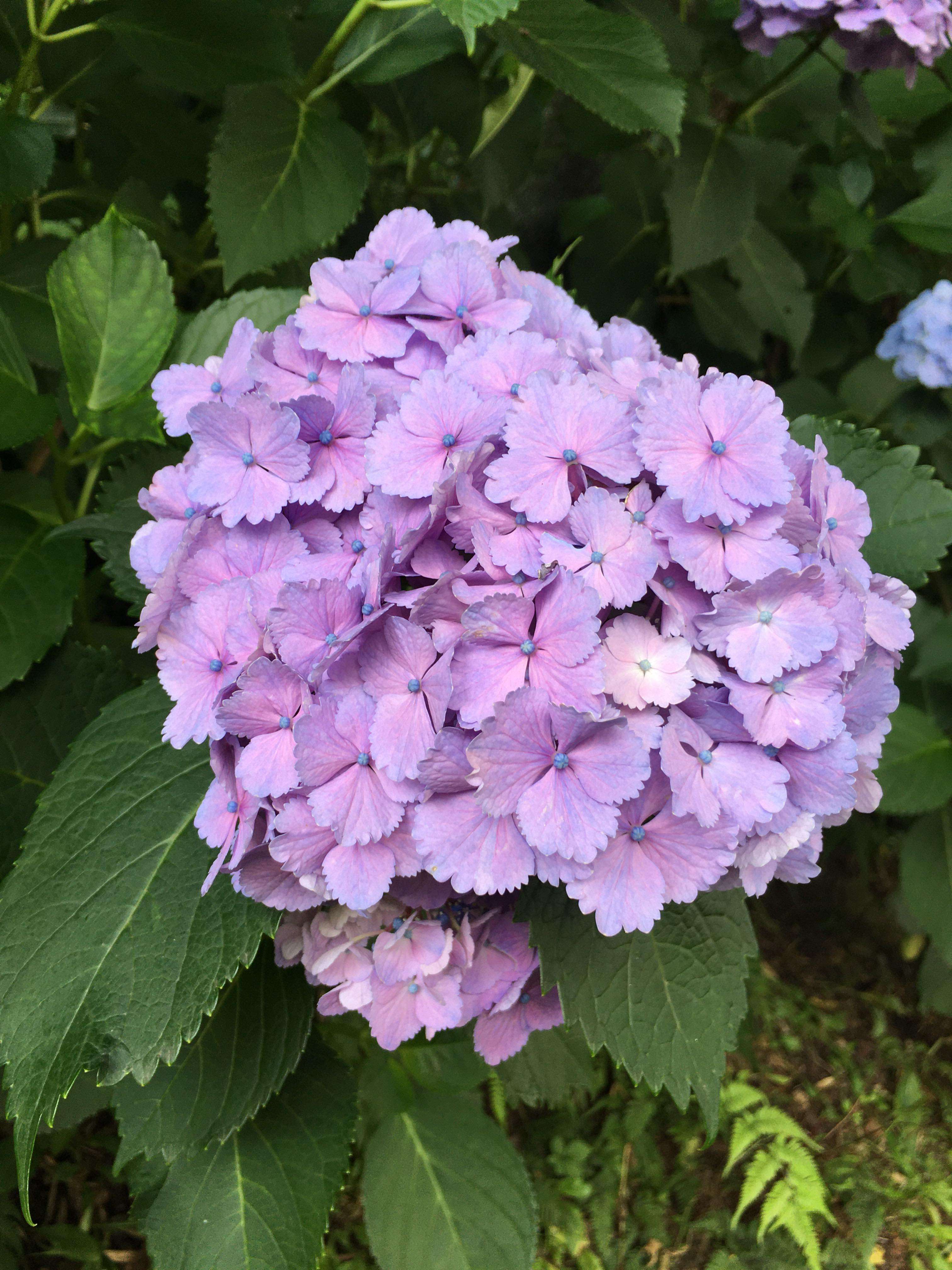 292390478_1106261676643003_4401201599918162504_n (1).jpg