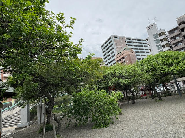 梅林.jpg