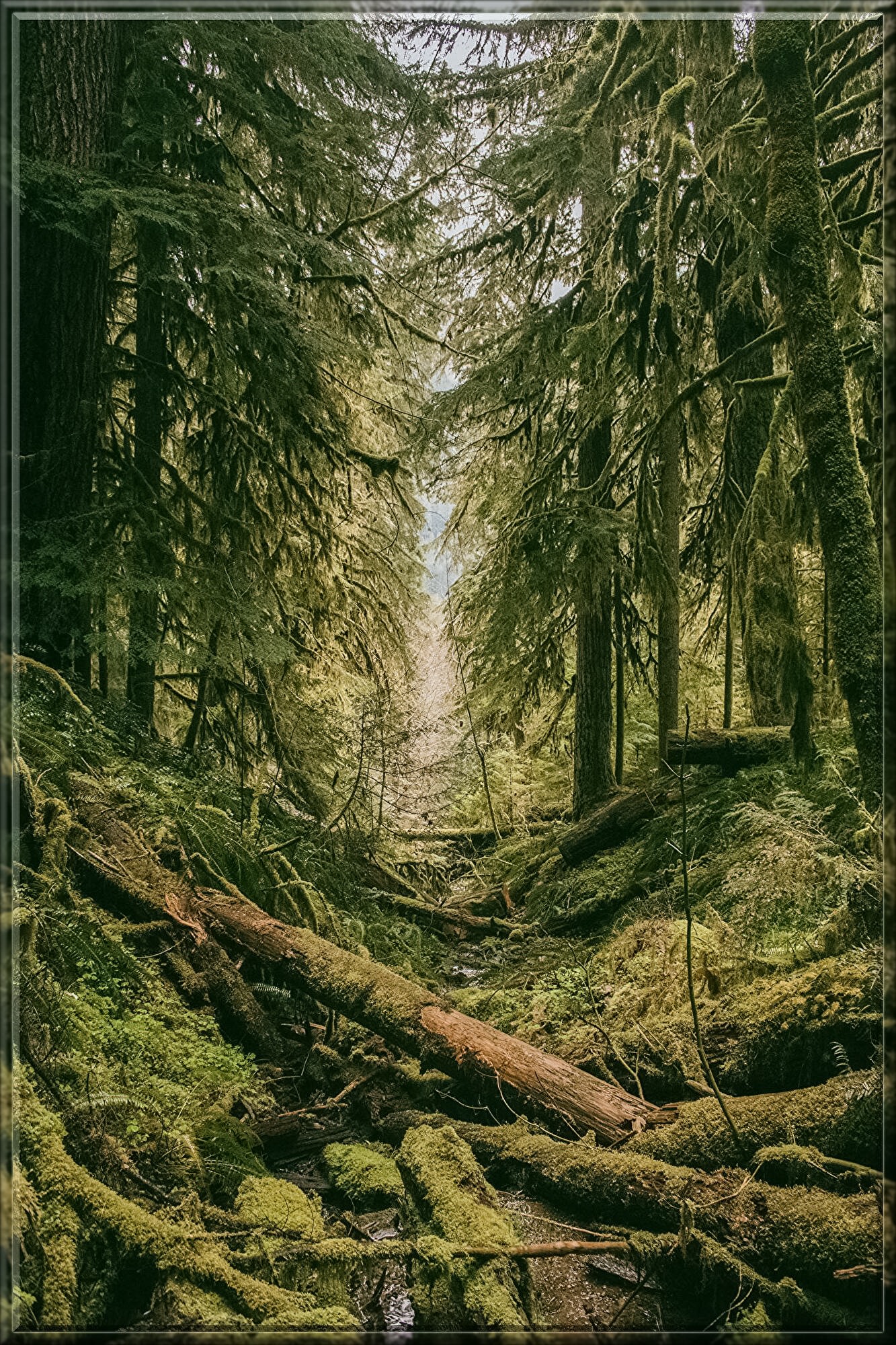 tuce-P3DxOe-OJGA-unsplash.jpg