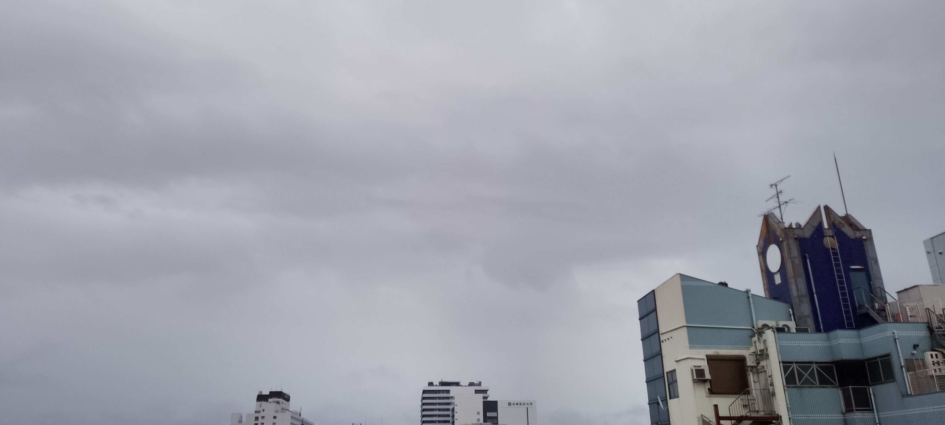 8958.jpg