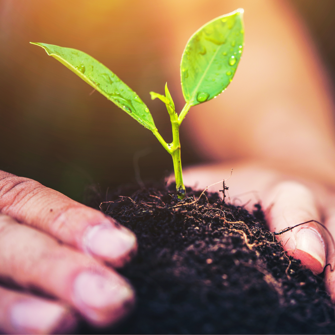 名称未設定のデザイン (42).png