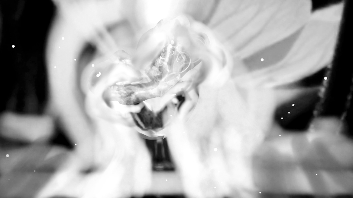 sketch-1669343158371 (4).png