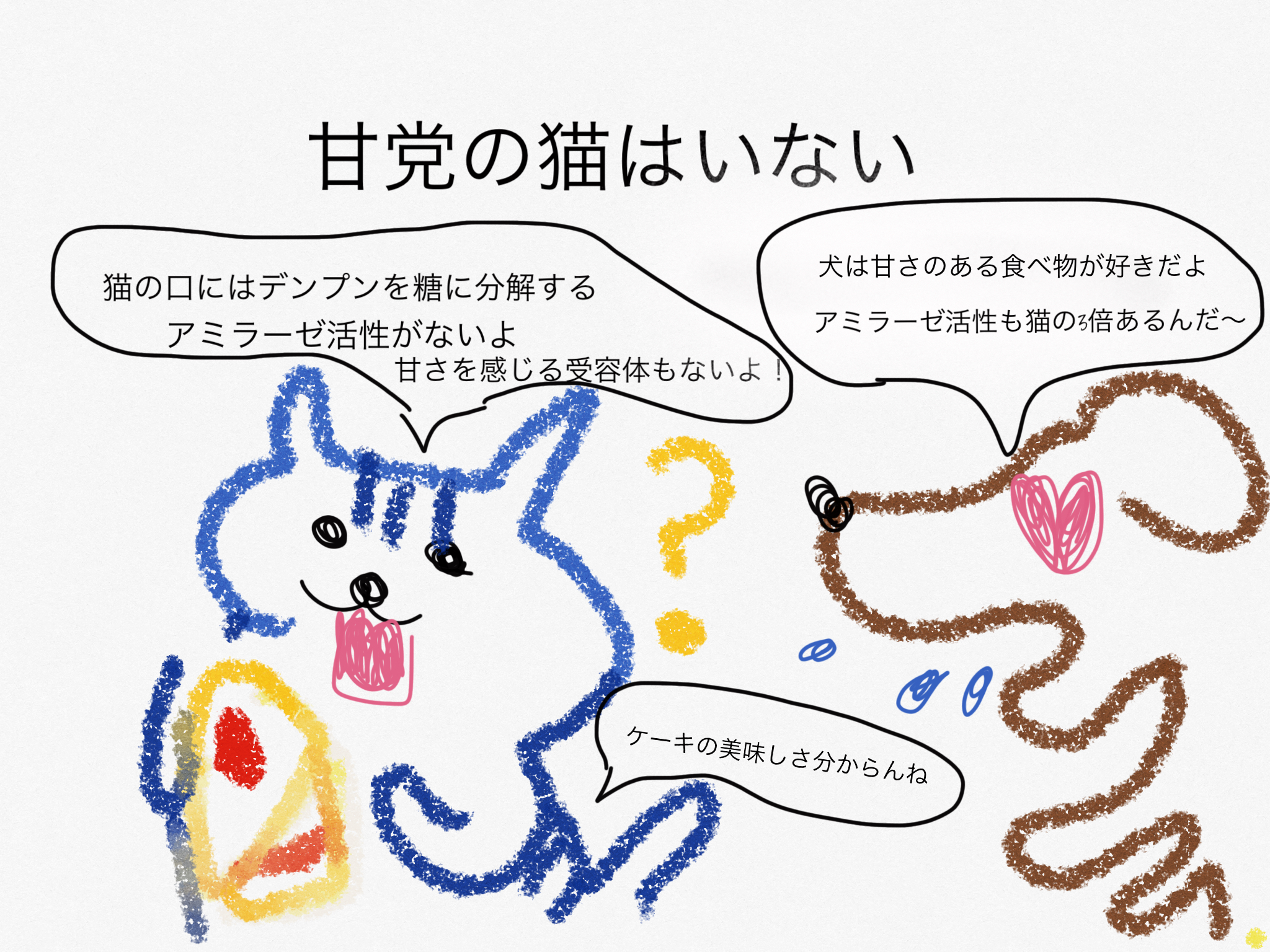 甘党の猫はいない 獣医師kana Coconalaブログ