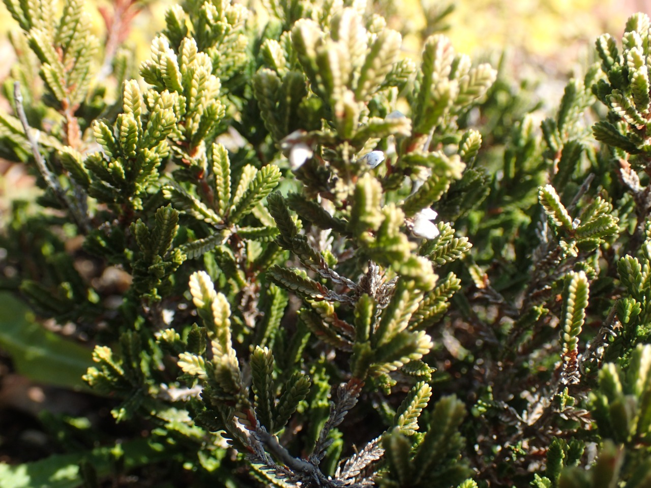 P3220777.JPG