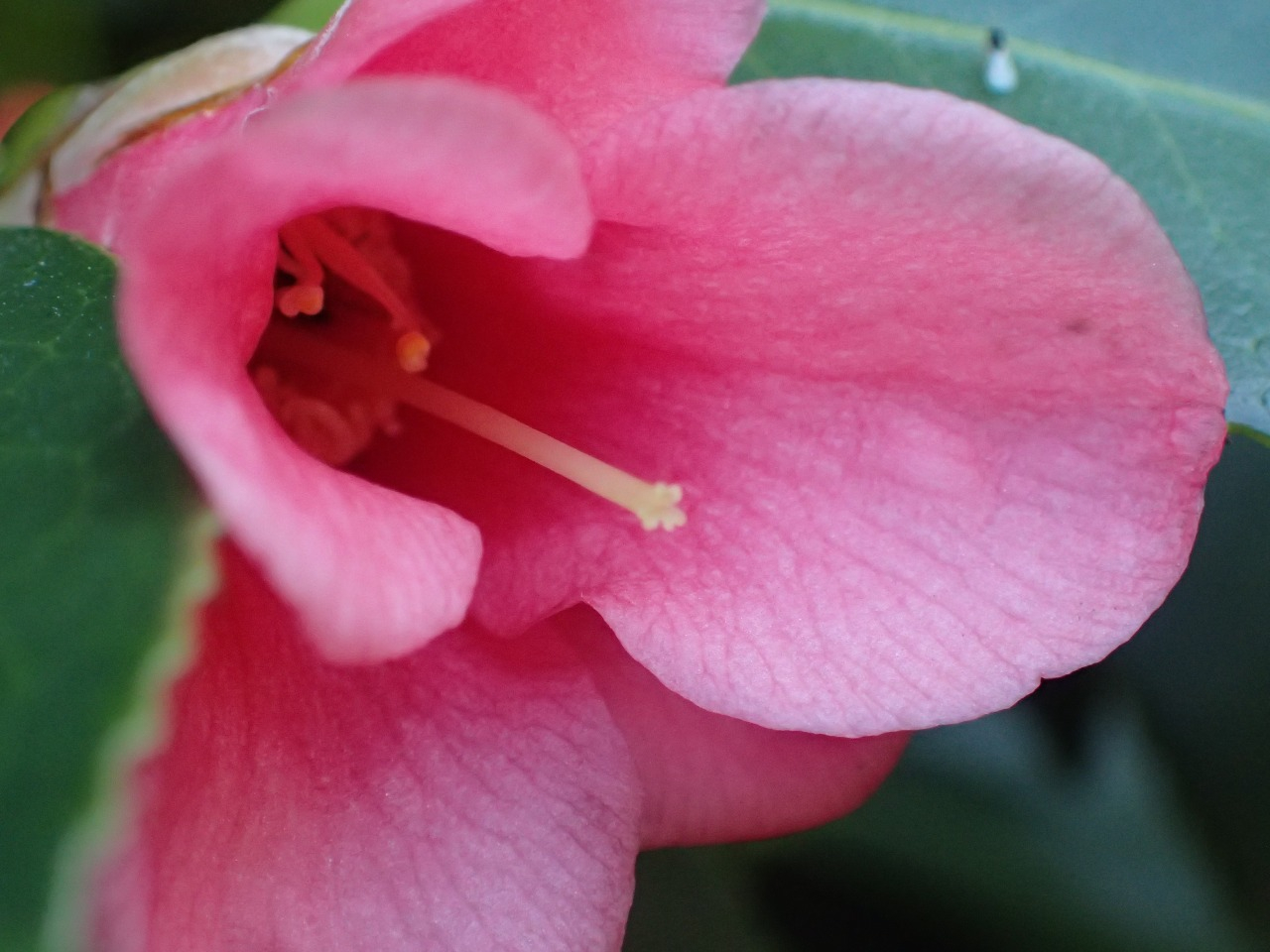 P3220136.JPG