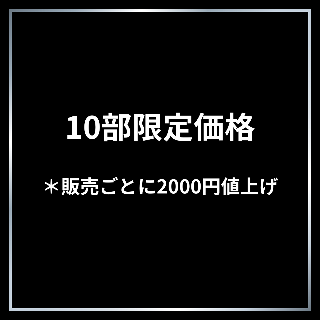 10部限定価格.png