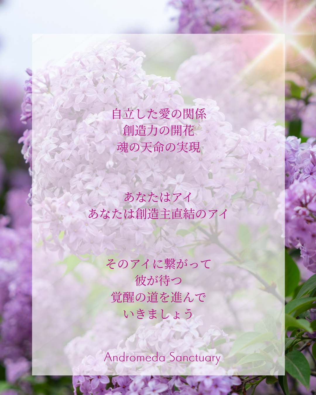 インスタ (Instagramの投稿（45）) (38).png