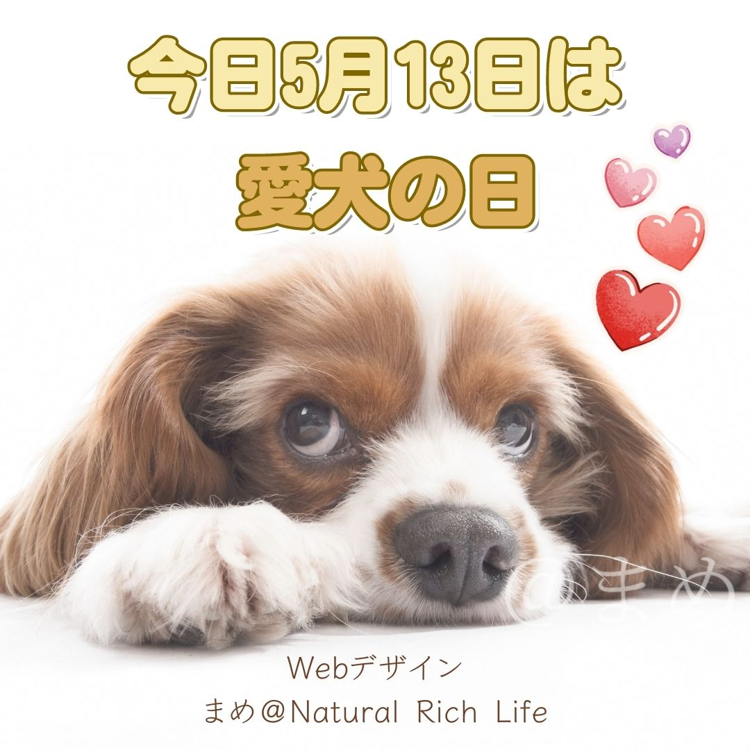 今日５月１３日は.jpg