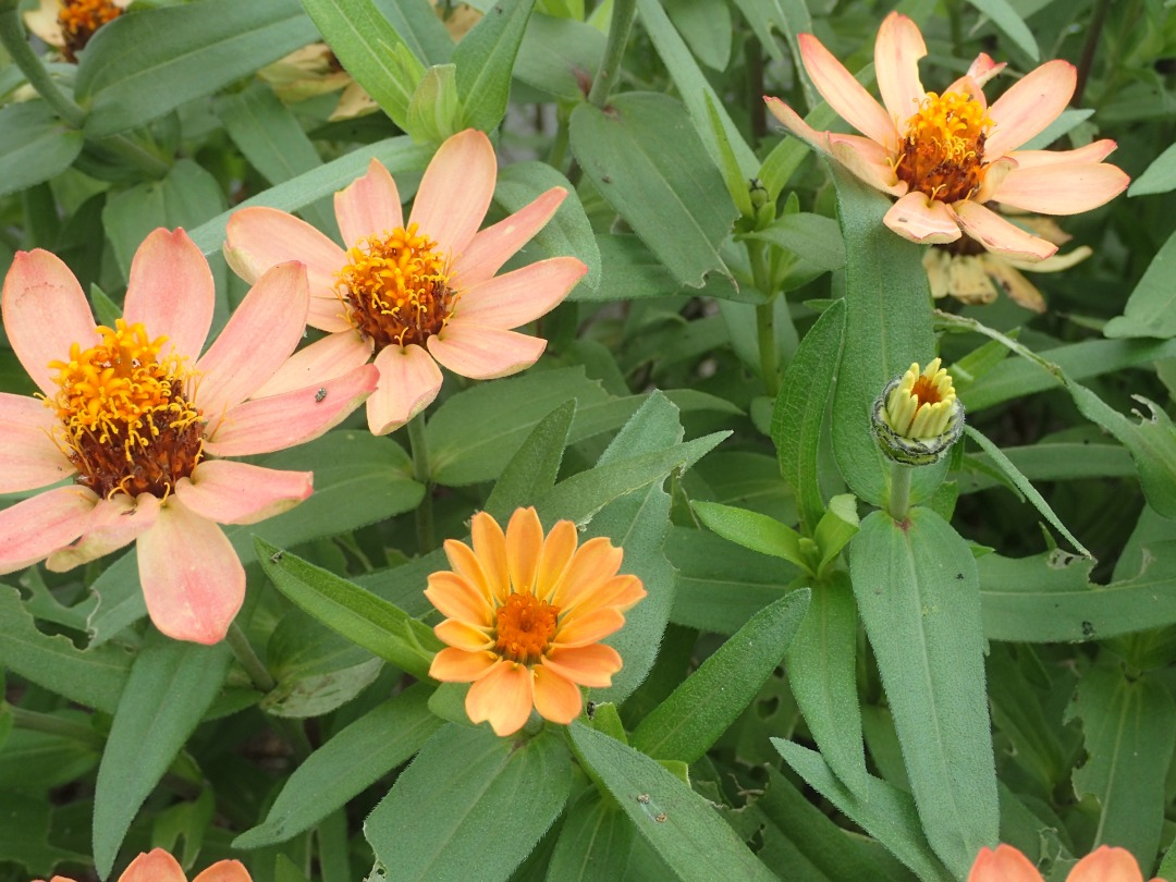 PA050376.JPG