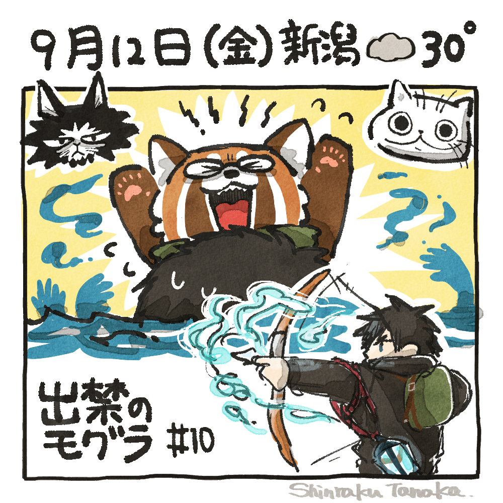 sns 9-12.jpg