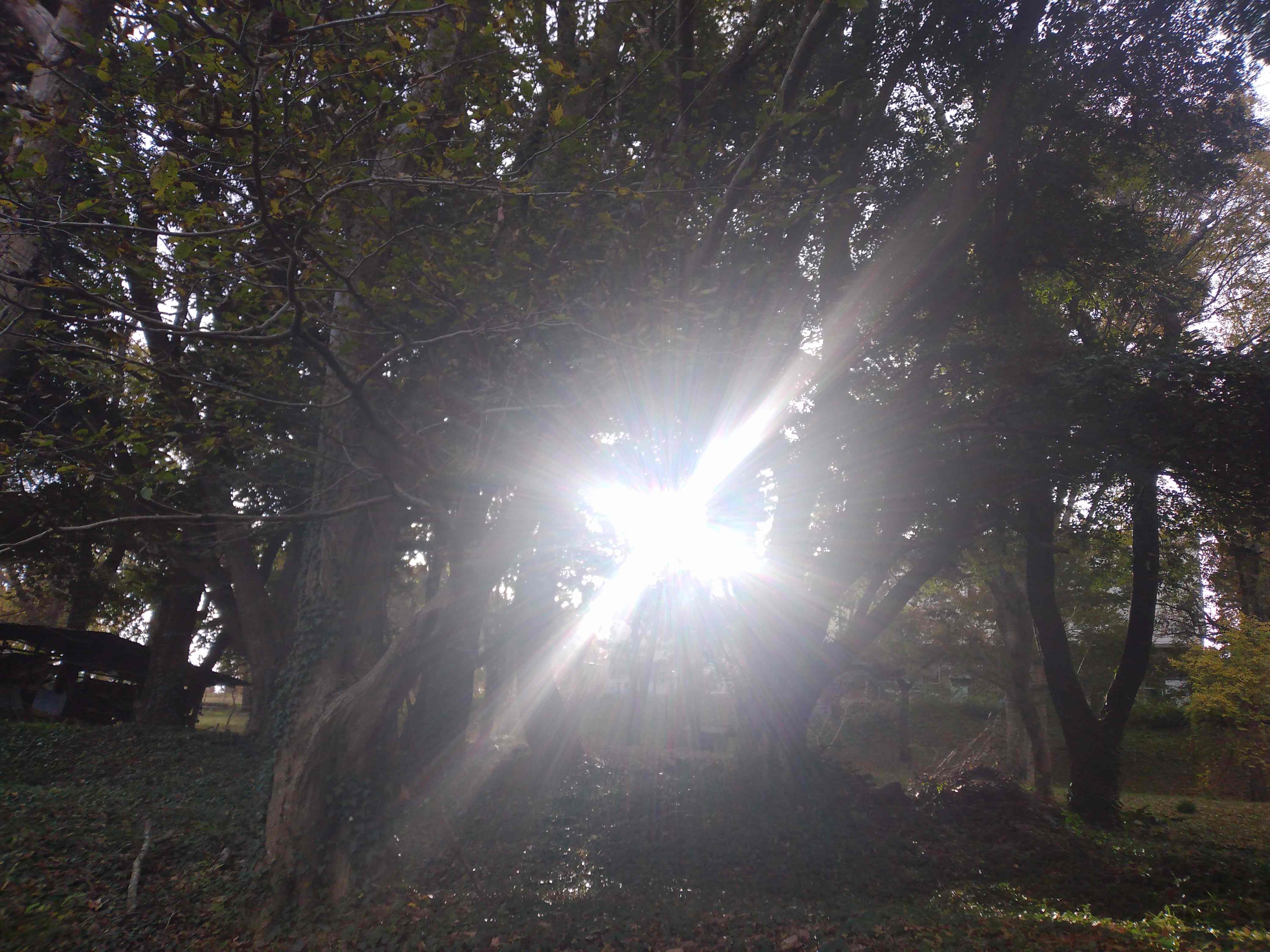 IMG_20201119_144606.jpg